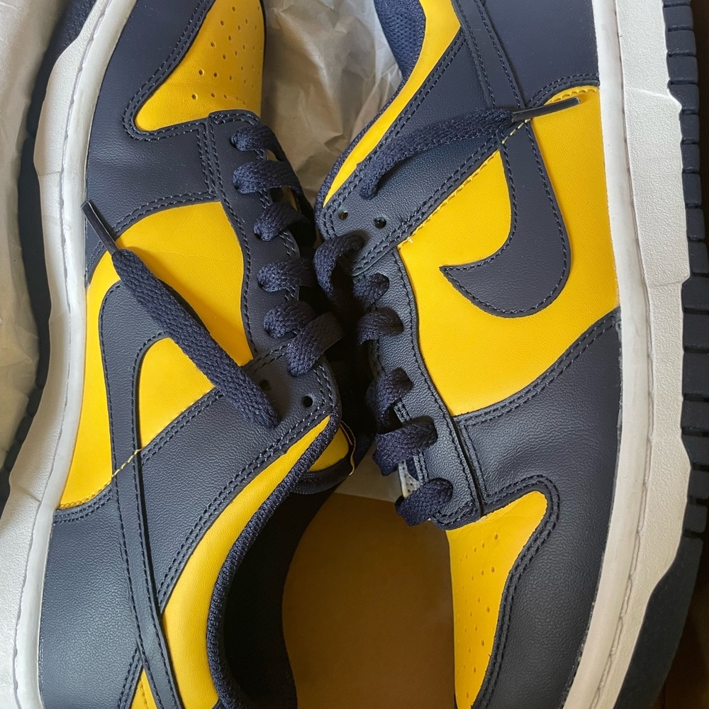 Michigan Dunk Low 7y